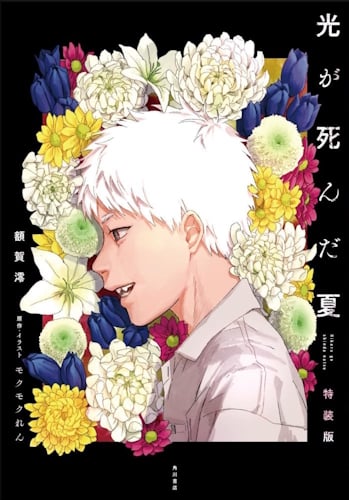 L'estate in cui Hikaru è morto - Il romanzo - Copertina